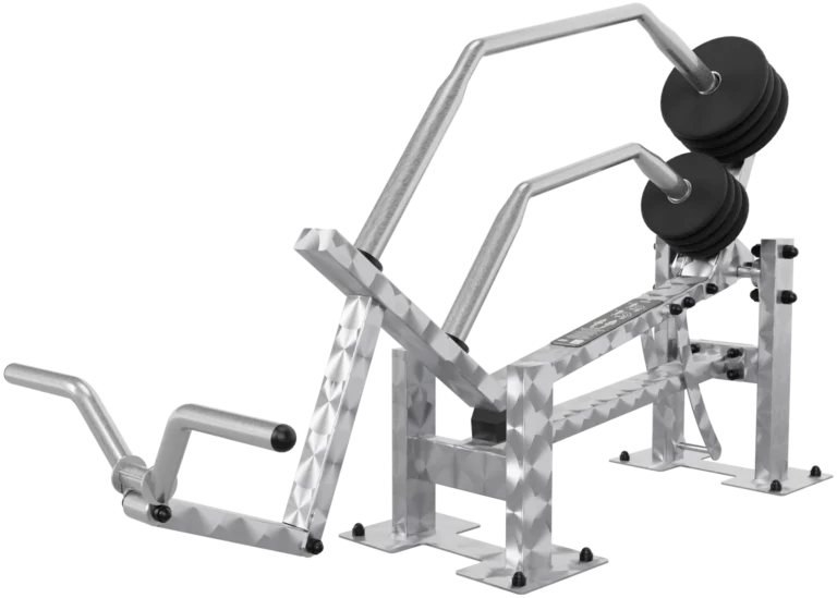 vGYM Machine à biceps – appareil de musculation extérieur en acier inoxydable avec poignée curl et disques